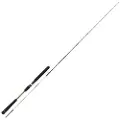 Kali Kunnan Spiaggia Jigging Stang