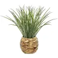 Atmosphera Jj100 Deco Green Herbal Collection Kunstig Plante