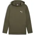 Puma Evostripe Hettegenser