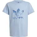 Adidas Originals Trefoil Graphic Kortarmet T-skjorte