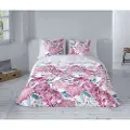 Pierre Cardin Nordisk Sett 2p Karol Karol C-3 260x240 Cm