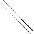 Wizard Active Light Spinnestang