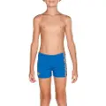 Arena Equilibrium Badeshorts Boxer
