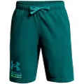 Under Armour Rival Terry 8in Shorts