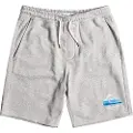 Quiksilver Local Surf Sports Shorts