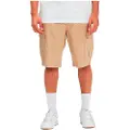 Dc-shoes Ware House 2 Shorts