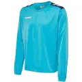 Hummel Academy Poly Collegegenser