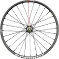 Spinergy Gx Max 700c Cl Disc Tubeless Grus Bakhjul