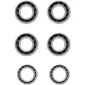 Ceramicspeed Zipp-8 Coated Lager