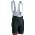 Gist Sykkelshorts
