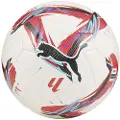 Puma Orbita Laliga 1 Fifa Quality Pro Wp Fotball