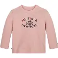 Tommy Hilfiger Essential Collegegenser