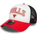New Era Nba Retro Chicago Bulls Truckerlue