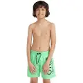 O'Neill O'Riginals Cali 14" Kids Boardshorts grønn