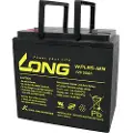 Long WPL55-12 Blybatteri 12 V 55 Ah Blyfleece (B x H x T) 226 x 214 x 135 mm M6 skruetilslutning Lav selvafladning, Vedligeholdelsesfri