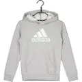 Adidas Essentials 2 Coloured Big Logo Hetteskjorte