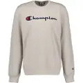 Champion 220254 Collegegenser