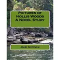 Createspace Independent Publishing Platform Pictures of Hollis Woods a Novel Study