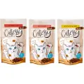 Catessy knasende snacks 65 g - Anti Hairball - okse og malt