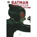 DC Comics Batman Arkham: Catwoman