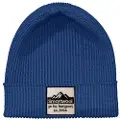 Smartwool Logo Lue