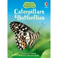 Usborne Caterpillars and Butterflies