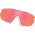 Oakley Mann Sphaera Replacement Lenses