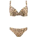 Barts Sands Wire Bikini