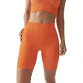 Born Living Yoga By Vikika Unity Seamless Korte Leggings