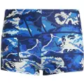 Adidas Graphic Badeshorts Boxer