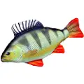 Gaby Perch Medium-puten