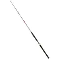 Daiwa Saltist Spinnestang