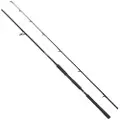 Abu Garcia Beast Pike Spinnestang