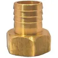 Goldenship Messing 2´´ Hunnkobling For Slange