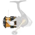 Daiwa Legalis Lt 2023 Ekstraspole