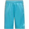 Adidas Ti Heath Shorts