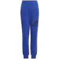 Adidas Essentials Regular Fit Big Logo Cotton Joggers