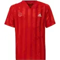 Adidas Printed Freelift Kortarmet T-skjorte