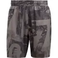 Adidas Club Graphic 7´´ Shorts