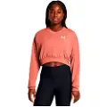 Under Armour Rival Terry Os Crop Crew Collegegenser