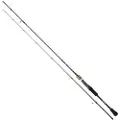 Daiwa Exceler Spinnestang