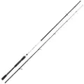 Seika Intense Pro Spinnestang
