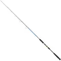 Cinnetic Rayforce Xbr Classic Jigging Stang