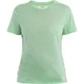 Icebreaker Merino Core Plume Kortarmet T-skjorte