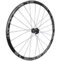 Gtr Rr17 Cl Disc Tubeless Forhjul For Landeveissykkel