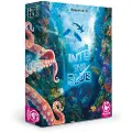 Tranjis Games Into The Blue Brettspill
