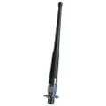 Banten C-20309 Antenne
