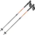 Salomon Qst Carbon S3 Spaserstokker