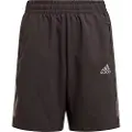 Adidas Wv Run Shorts