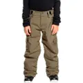 Quiksilver Porter Kids Bukse grønn